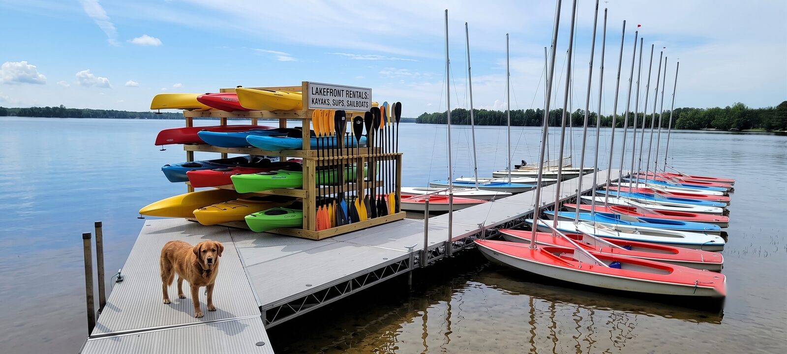 The rental dock on a bright morning, sailboats and paddle craft tied off and ready