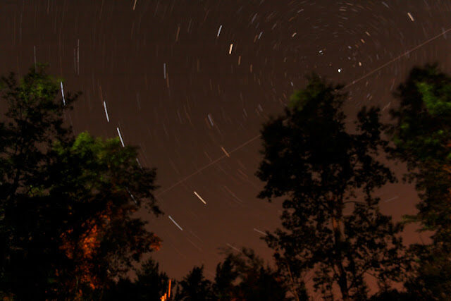 Star trails circling above the black silhouettes of the pines